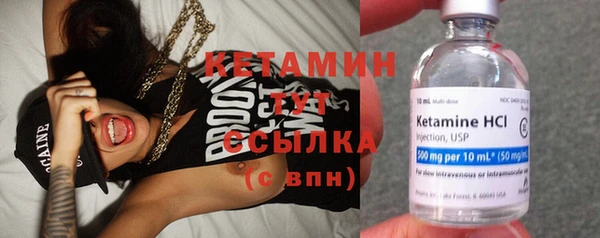 шишки Белоозёрский