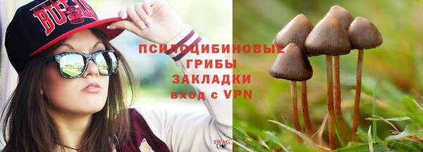 стафф Богданович