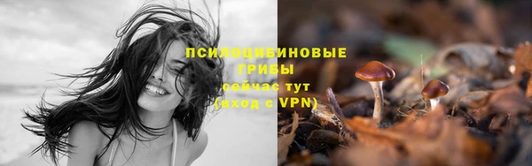 ECSTASY Беломорск