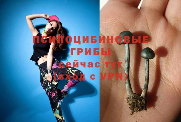 ECSTASY Беломорск