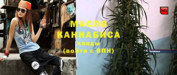 спиды Богородицк