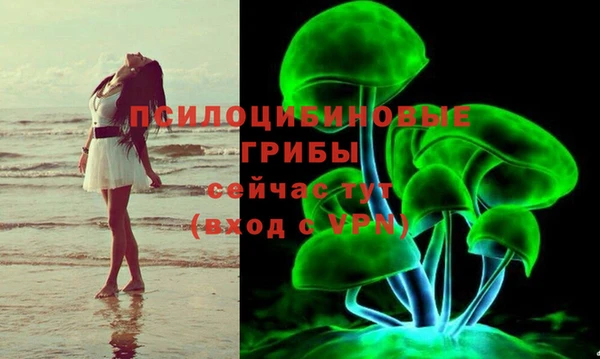 шишки Белоозёрский