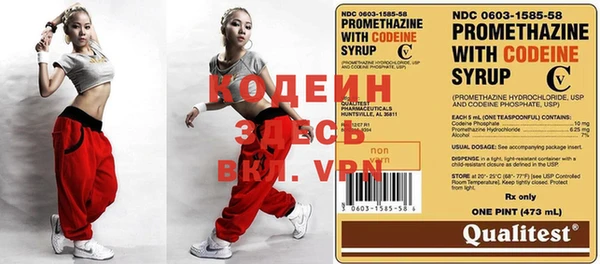 спиды Богородицк