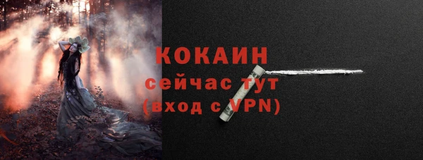 шишки Белоозёрский