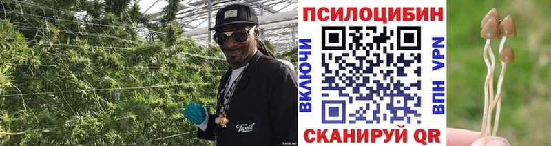 купить наркоту  Краснокаменск  mega как войти  Галлюциногенные грибы мухоморы 